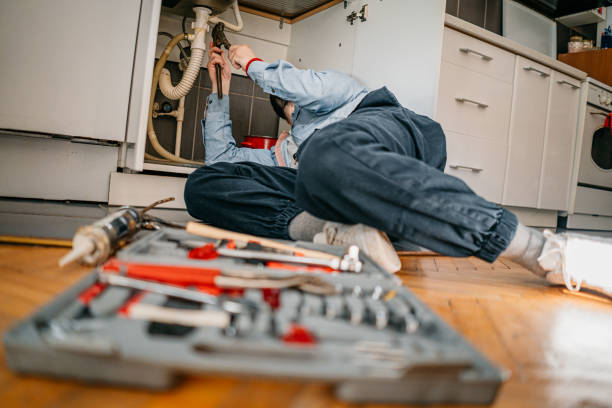 Best Leak Detection Services  in Petersburg, MI