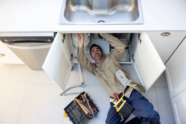 Best Sprinkler Systems  in Petersburg, MI