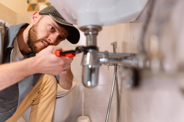 Best Shower Repair Services  in Petersburg, MI