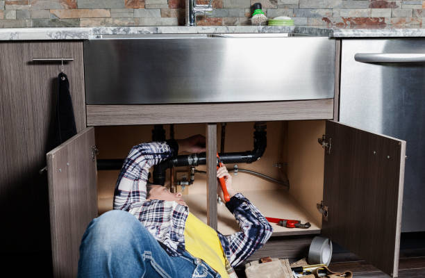 Best Emergency Plumber  in Petersburg, MI