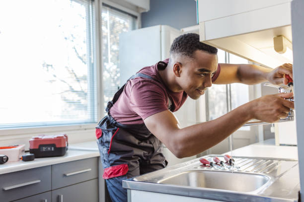 Best Residential Plumbing Services  in Petersburg, MI